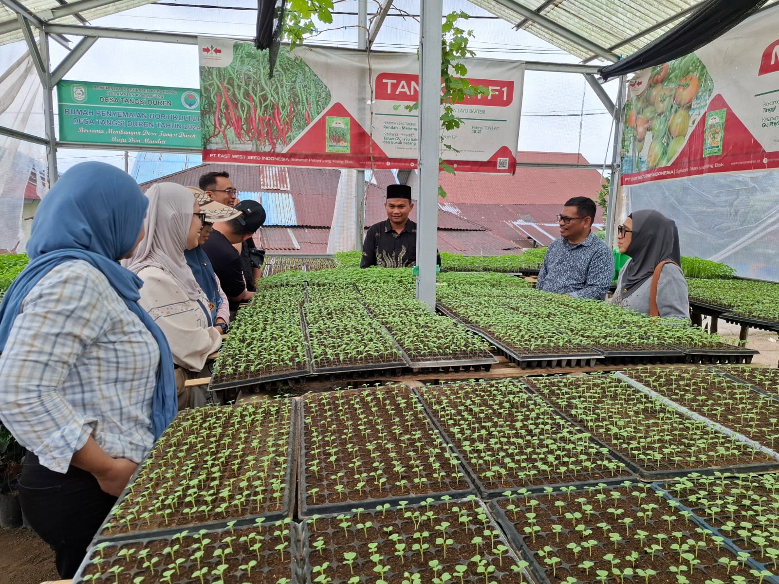 Tim SPs UNHAS Kaji Potensi Cabai Merah Keriting Universitas Bengkulu untuk Budidaya di Datara...